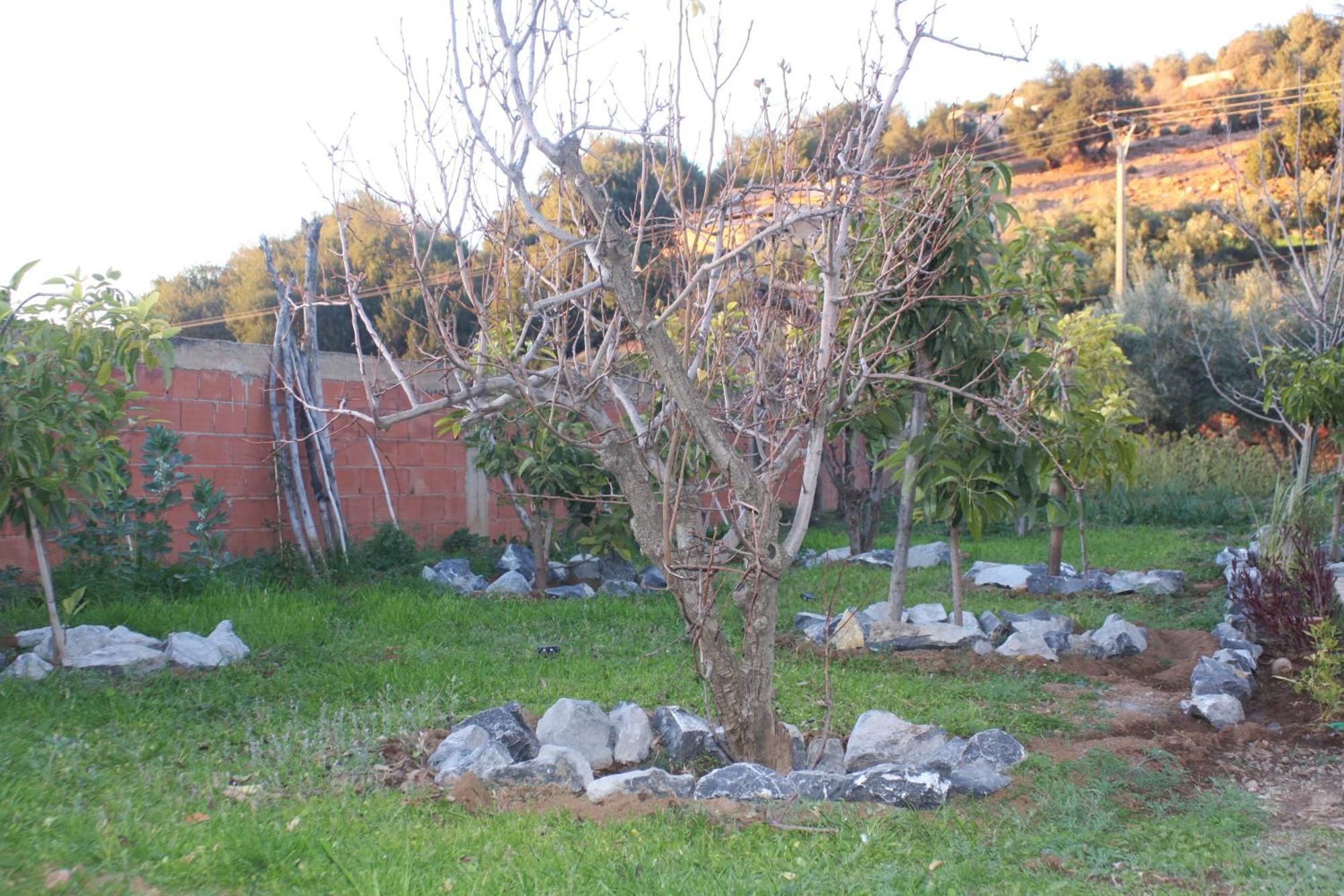 Villa Privee Reservee Aux Familles Aroggou Exterior foto